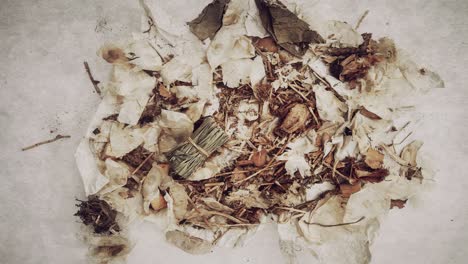tcm herbs opening up stop motion loop