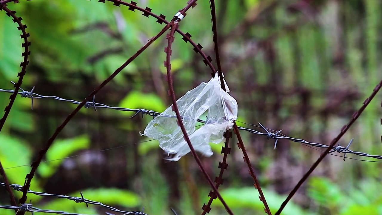 Recinzione di filo spinato con rifiuti di plastica che volano nel vento. Immagine forte per progetti di inquinamento da plastica, rifiuti, ambiente, sostenibilità e consapevolezza climatica