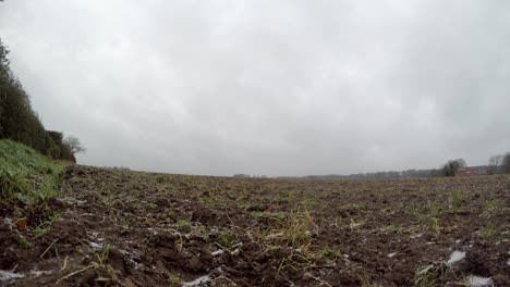 Un-Campo-En-El-Día-De-Enero