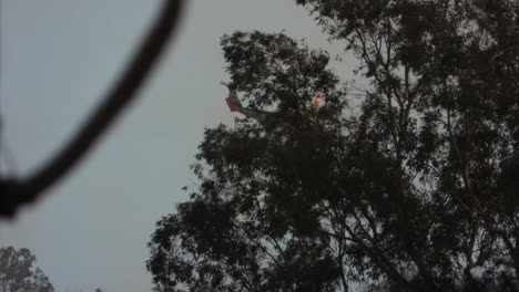 Siga-El-Helicóptero-Del-Bombero-Arroja-Toneladas-De-Agua-En-Un-Bosque-En-Llamas,-Fuego-De-Fairview,-Hemet