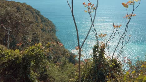 Cinque-Terre-Corniglia-Nach-Vernazza-Küstenblick-Mit-Bäumen,-Wellen-Und-Azurblauem-Himmel