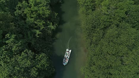 sightseeing on boat in humedales del ozama national park in dominican republic