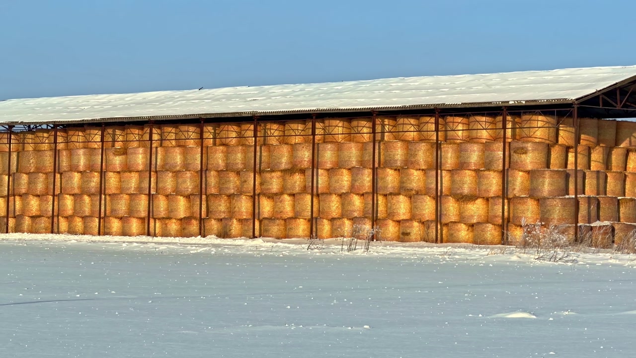 Hay bales stacked under a shelter, winter storage on a snowy farm field