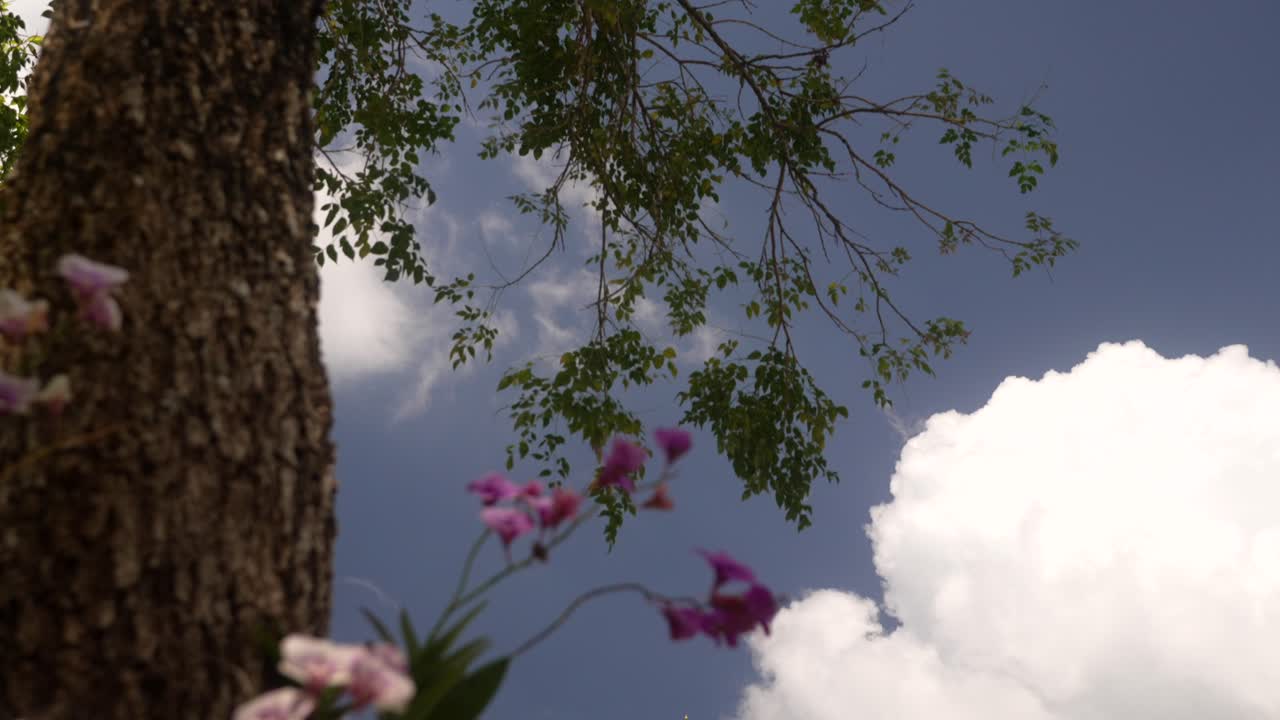 와트 chaithararam 사원 chalong phuket 태국에서 놀라운 stupa