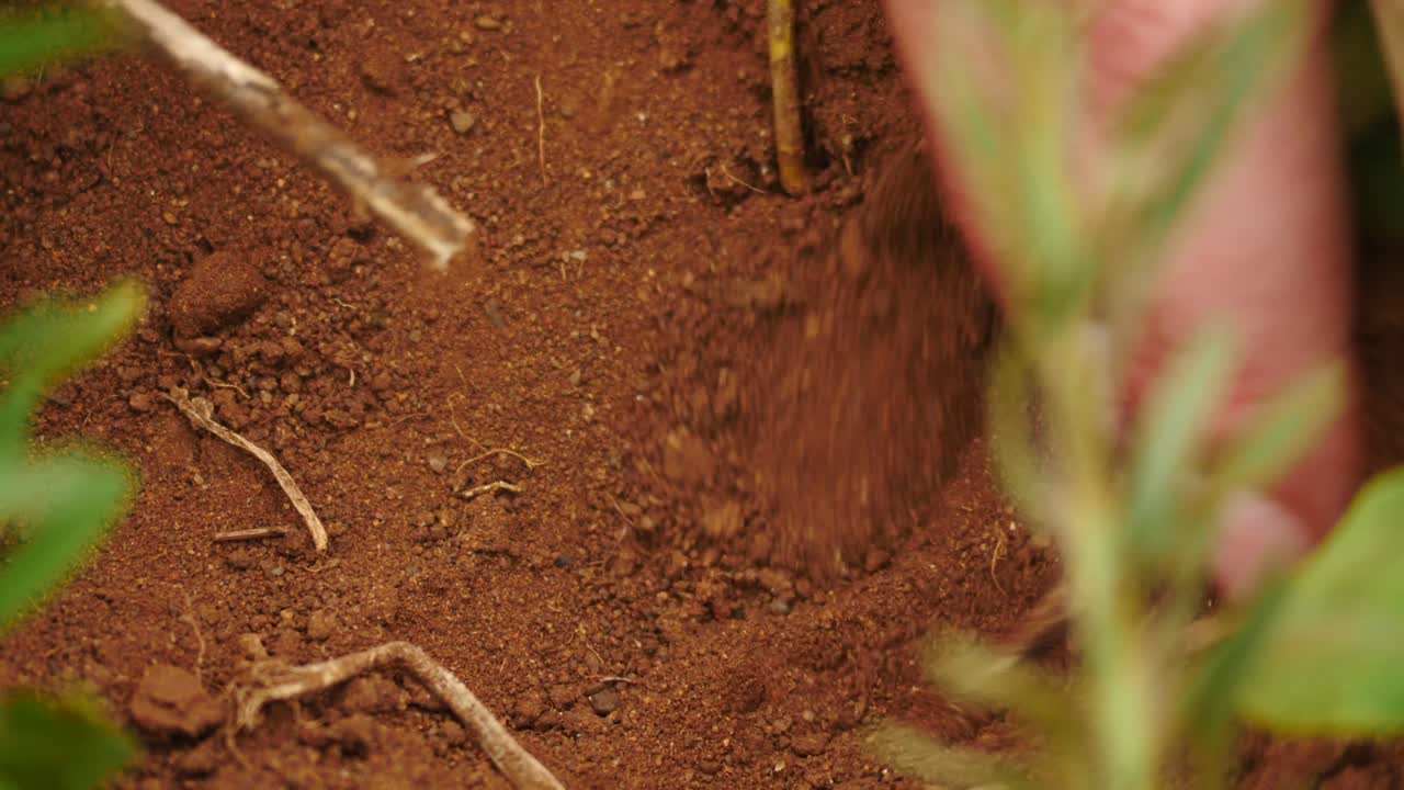 Slow motion: Primo piano della mano di una donna e di un bastoncino che scavano nella sabbia rossa tra l'erba verde.