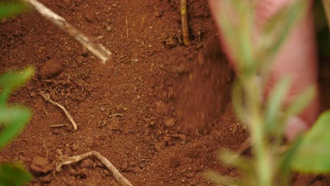 slow motion: close up womans hand and stick digging in red sand between green grass