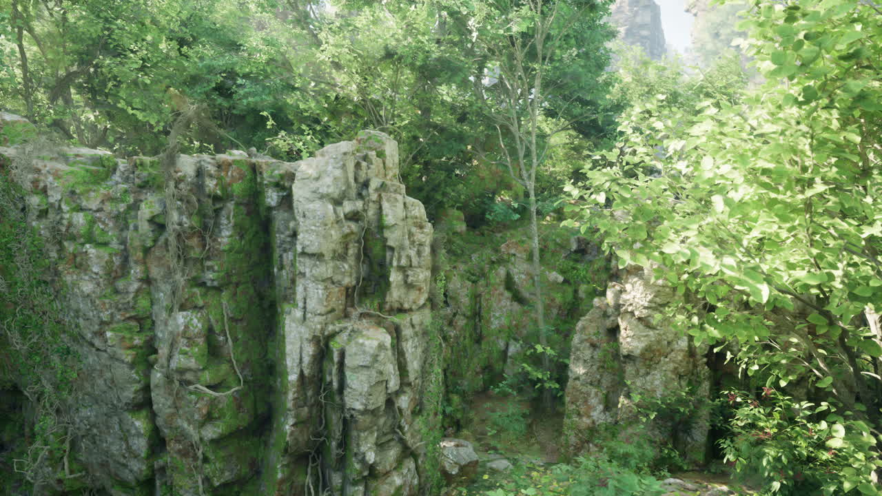 misteriosas ruinas de piedra en un bosque exuberante
