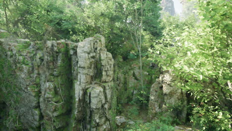 mysterious overgrown stone ruins in a lush forest