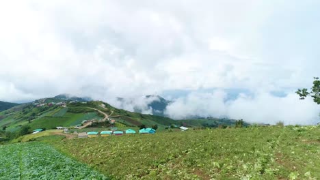 Scenic-Drone-Footage-Of-Cabbage-Plantation-With-Foggy-Weather-In-Background