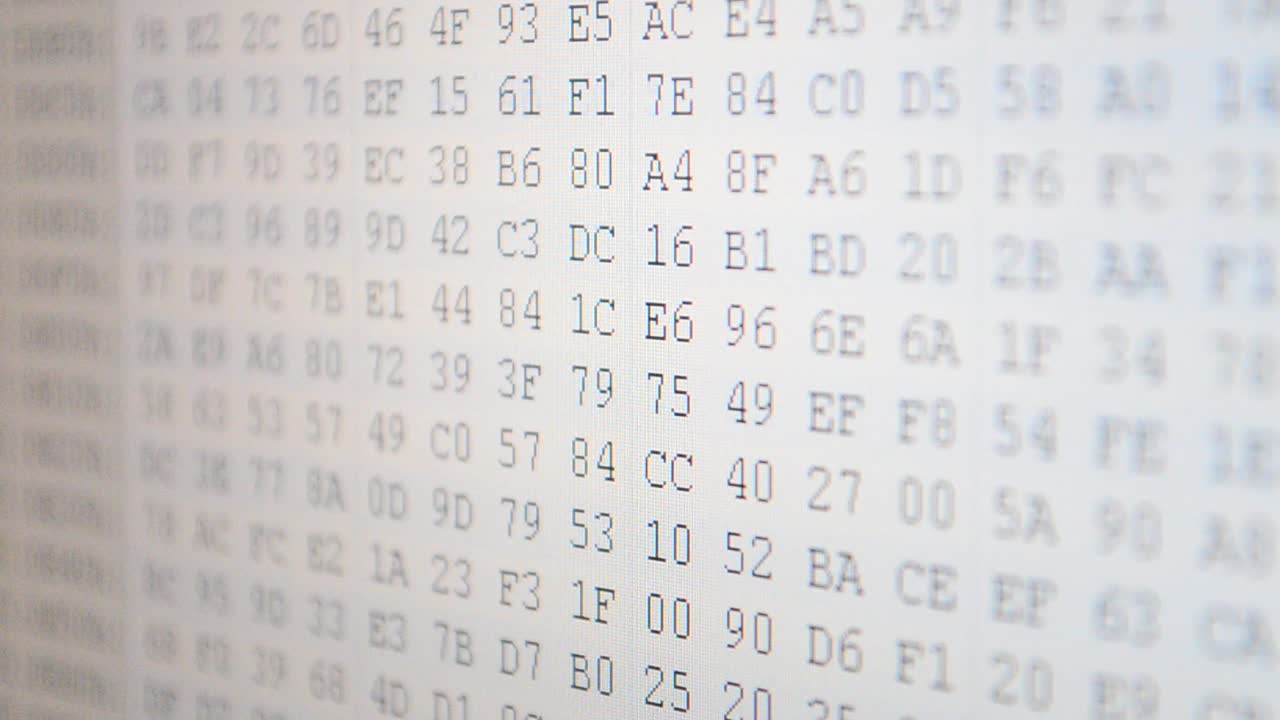 Program code. Hexadecimal program code on screen. Animated background of moving binary code numbers