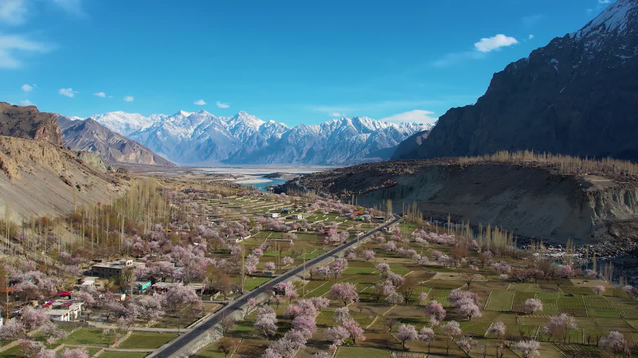 una toma de paralaje aéreo de una flor en skardu, pakistán