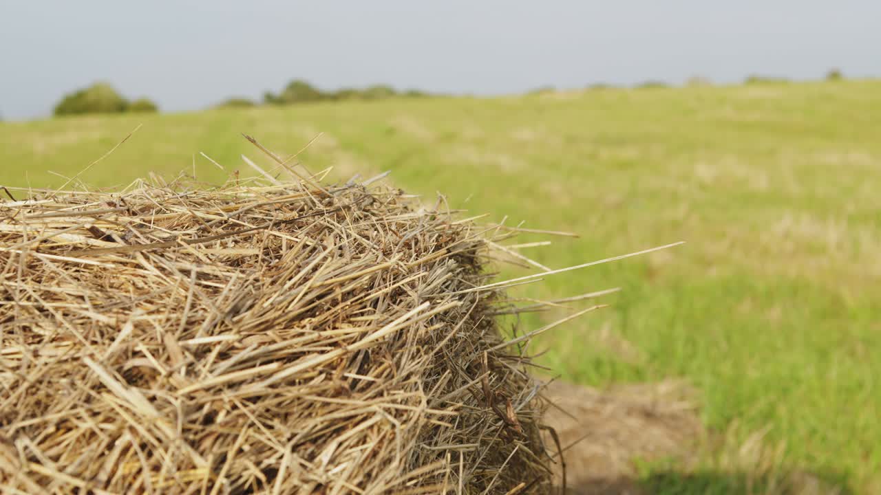 otoño - tiempo de cosecha. balas de heno de cerca. concepto de la agricultura.