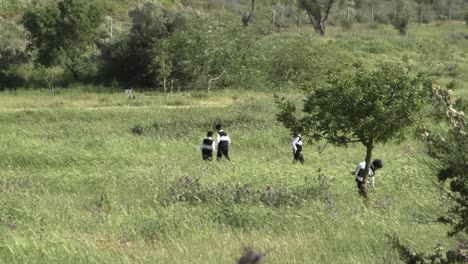 Einige-Jüdisch-orthodoxe-Kinder-Spielen-In-Einem-Park