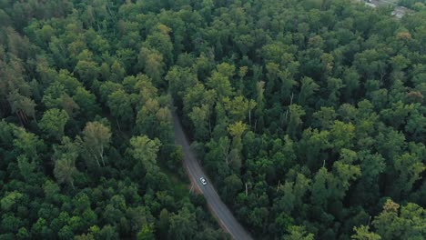 fotografía de un avión no tripulado de una carretera forestal con un coche