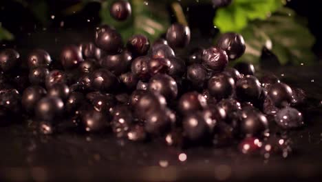 Blueberries-fall-into-water-in-slow-motion