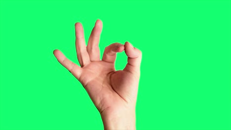 Close-up-shot-of-a-male-hand-holding-up-a-classic-ok-or-perfect-sign,-against-a-greenscreen-background-ideal-for-chroma-keying