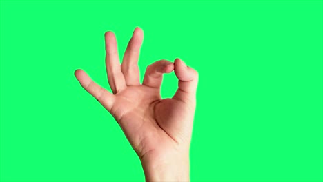 fotografía de cerca de una mano masculina sosteniendo un clásico ok o signo perfecto, contra un fondo de pantalla verde ideal para la tecla de croma