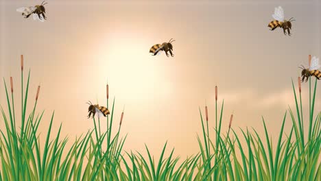 bees gracefully fly over a sunlit meadow