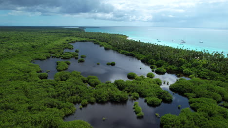 Impresionante-Lago-Junto-A-La-Playa-En-Una-Isla-Caribeña-Con-árboles-Bajo-El-Agua