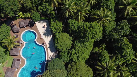 aerial view of tropical resort swimming pool