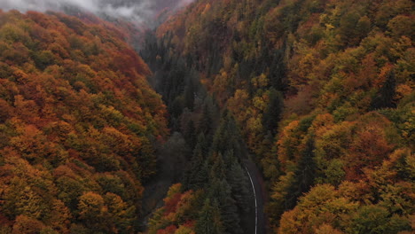 vista aérea de un camión que pasa por un camino forestal rodeado por un bosque colorido en otoño, transilvania, rumania, disparo de grúa