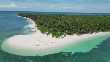 isla de patongong en balabac día soleado con madera flotante en la playa y bosque de coco, retirada aérea