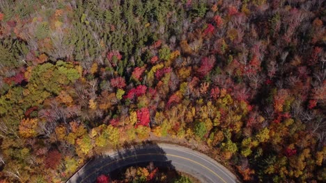 aerial view of autumn foliage of white mountain national forest new hampshire