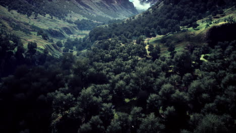 Alta-Montaña-En-El-Tiempo-De-La-Mañana