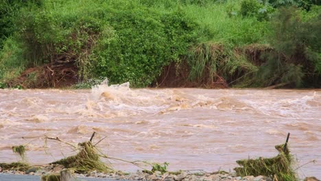 close-up of floodwater rapids on the gold coast, queensland, australia. the brown water rushes violently, creating dramatic currents and showcasing nature’s raw power.