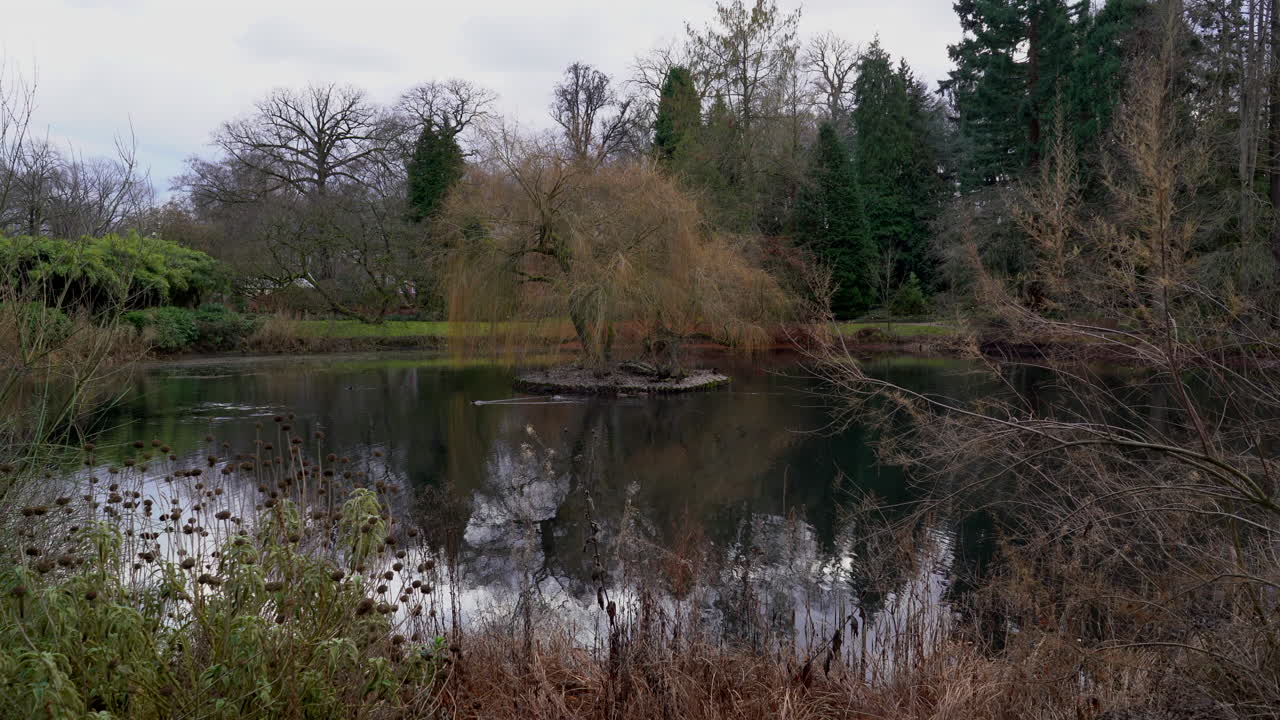 Ø midt i søen i en park