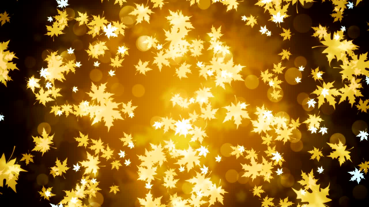 황금색 메이플 잎