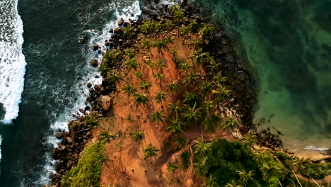 Aerial-of-Coconut-Tree-Hill,-isolated-palm-trees