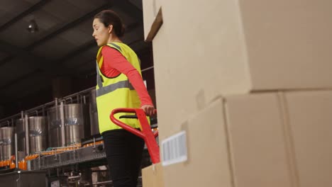 female worker carrying cardboard box in trolley