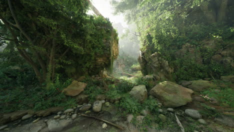 lush jungle forest path