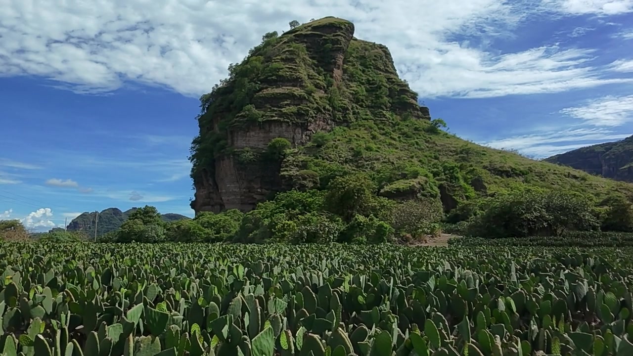 Montagna rocciosa coperta da fitta vegetazione si erge sopra un campo di cactus. Cielo blu e nuvole strutturate incorniciano il paesaggio naturale in piena luce diurna con colline distanti all'orizzonte