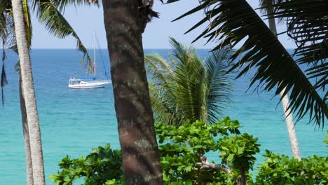 a beautiful shot of the sea of thailand with palm trrees in the foreeground and a sailing boat in the background in southeast asia