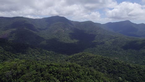 Schöner-Daintree-Nationalpark-In-Queensland-An-Einem-Bewölkten-Tag