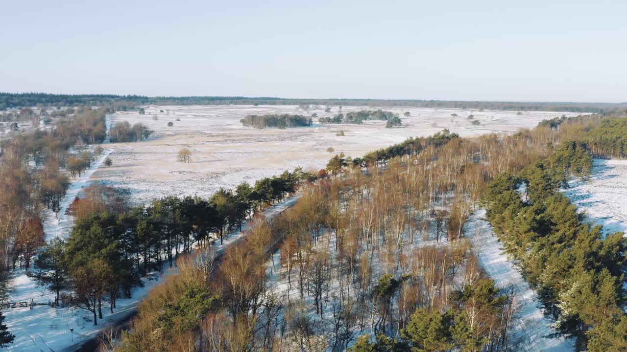 나무 사이의 고속도로 조감도, 겨울날 장면, 트럭 왼쪽