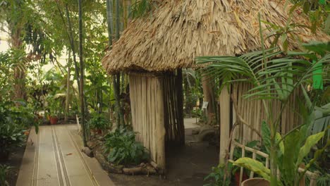 traditional hut and tropical plants at national botanic gardens in glasnevin, dublin, ireland