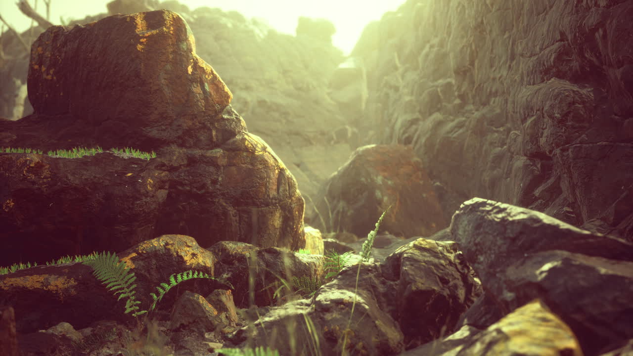 Sunlight filters through rocky formations casting a golden hue on the ground