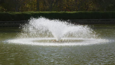 typical water fountain with a cone shaped spray in a small pond at a public park during summer