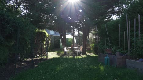 cozy relaxing garden with furniture warm sunlight rays through tree canopy