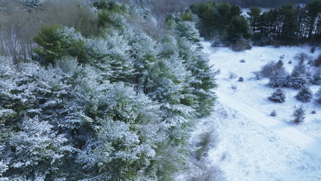 a drone's perspective unveils the winter enchantment of a midwest woodland, covered in snow after a significant blizzard