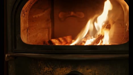 burning fire in a wood stove