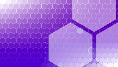 animation of white shapes moving on purple background