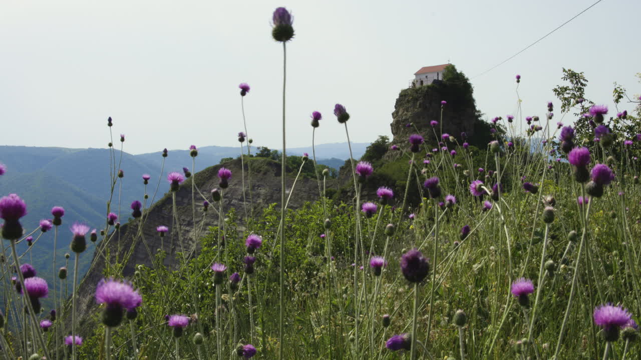 campos de flores silvestres en la brisa matutina con arquitectura sobre un acantilado en tsveri, georgia
