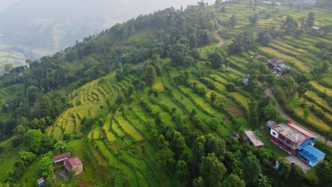 Campos-En-Terrazas-A-Lo-Largo-Del-Valle-De-Pokhara-Nepal