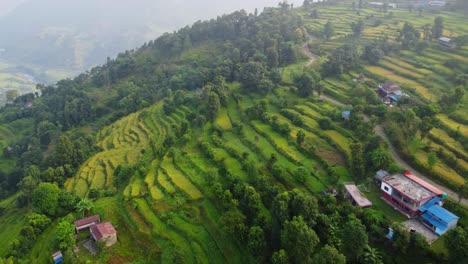 terrace fields along pokhara nepal valley