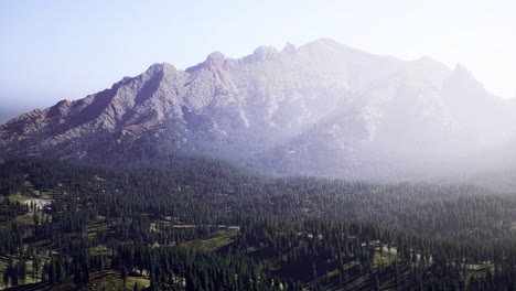 breathtaking mountain landscape with dense forest and soft sunlight