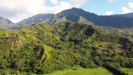 breathtaking aerial panoramic shot of hanalei valley and green mountains in kauai, hawaii